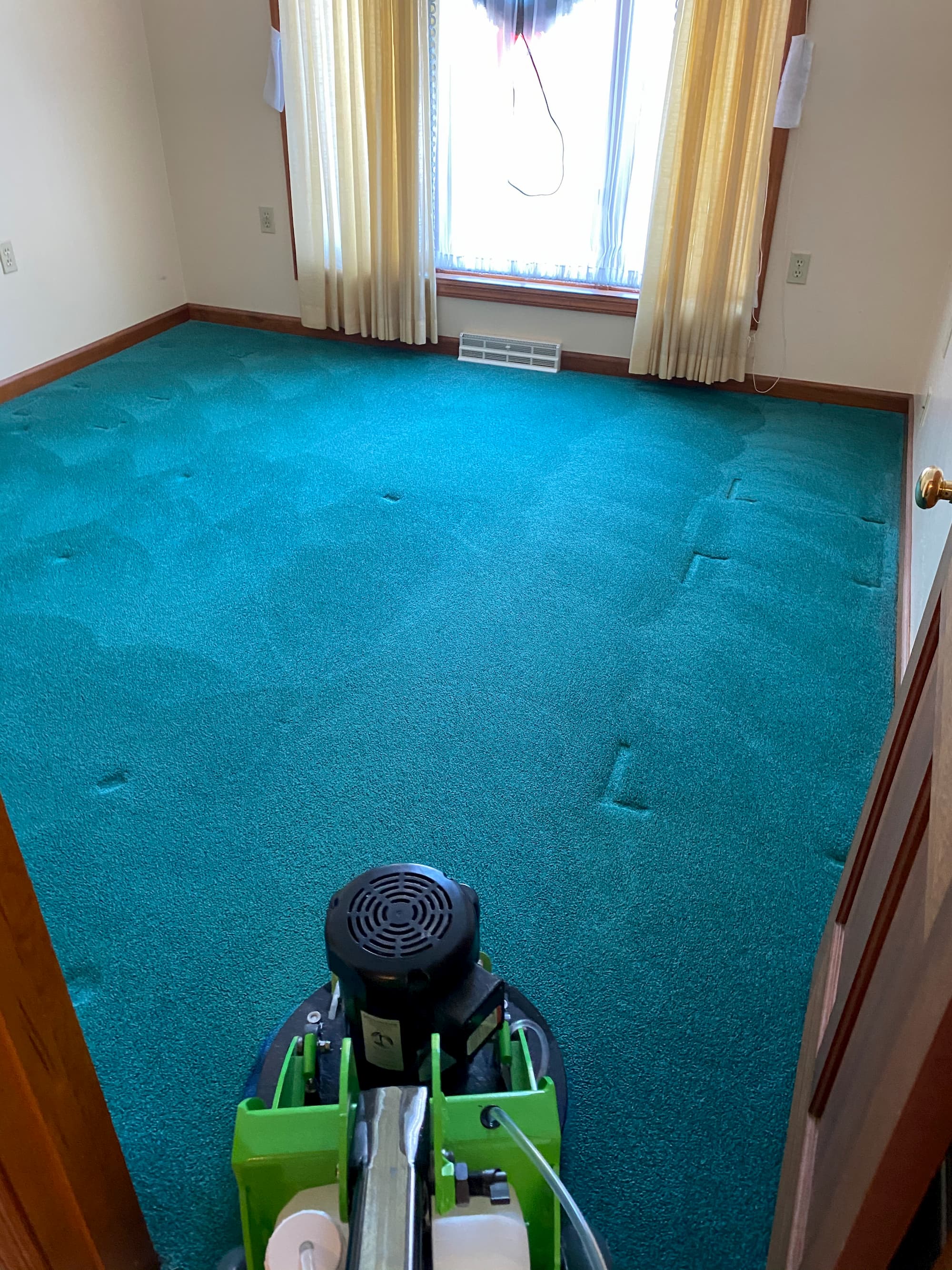 Carpet cleaning moon pa