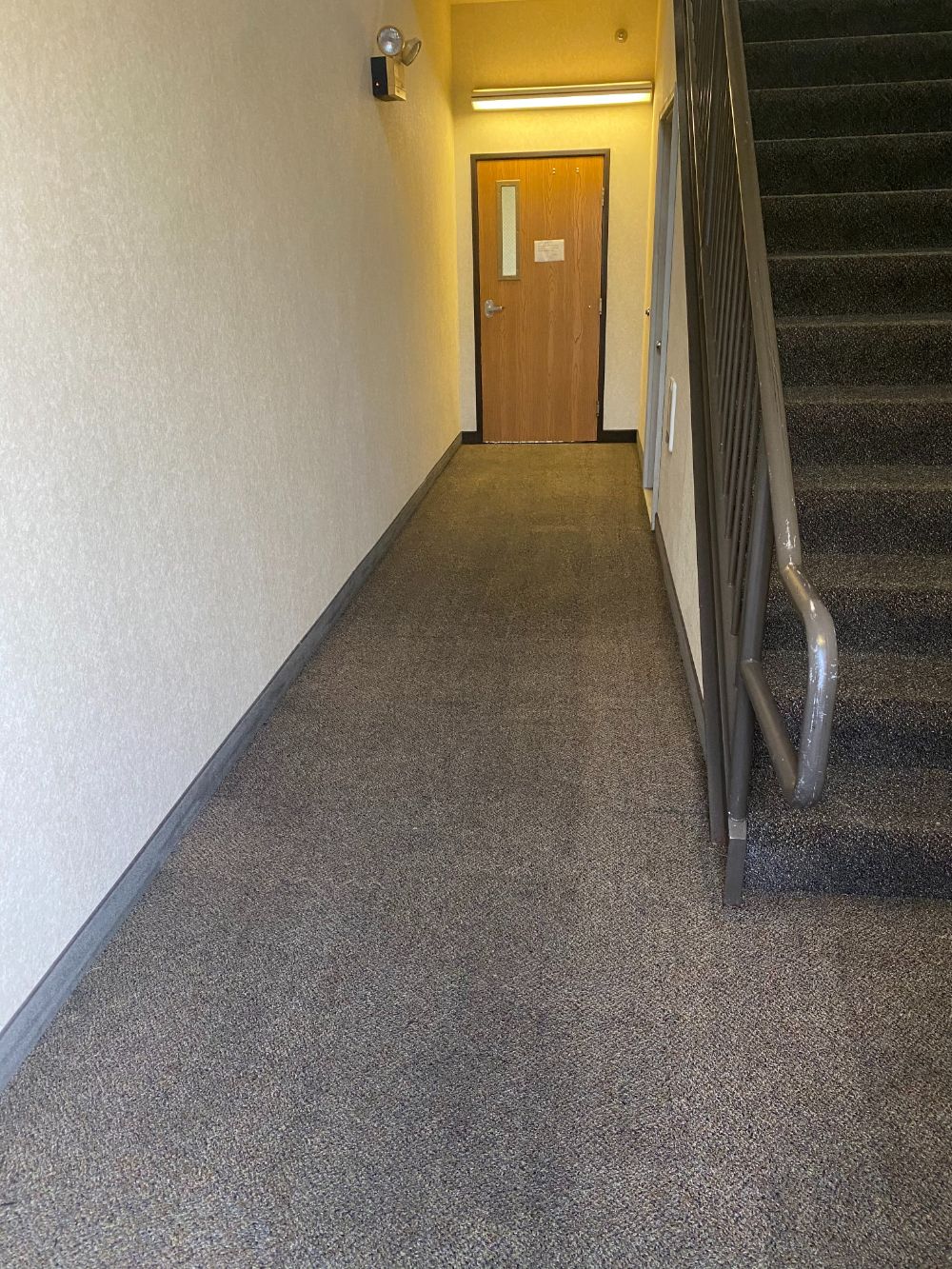 Hotel carpet cleaning pittsburgh pa tampa fl