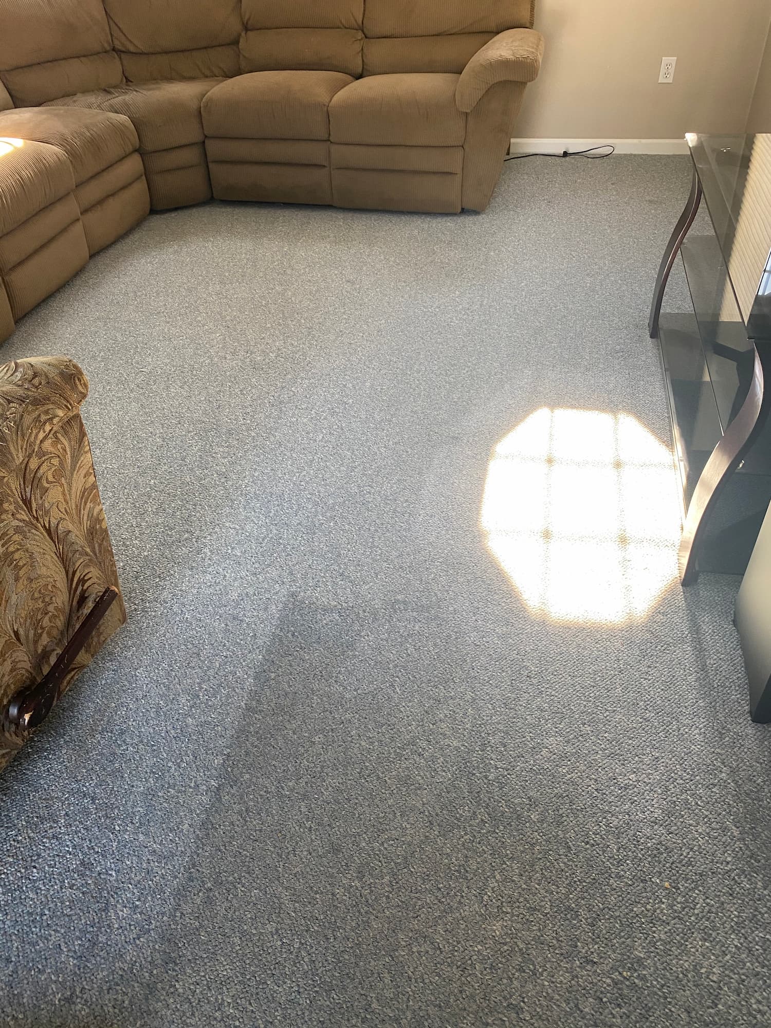 Berber carpet cleaning baden pa cover