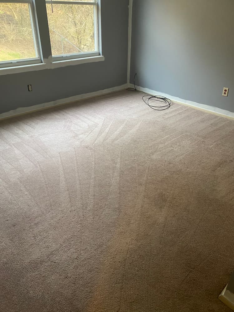 Carpet cleaning hasley ct lebanon pa