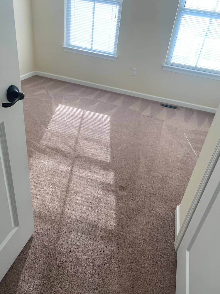 Carpet cleaning mccandless wexford pa