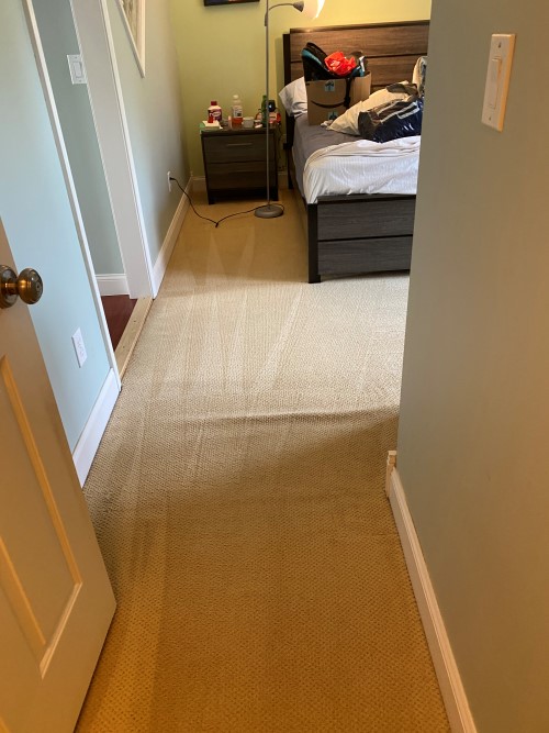 Carpet steam cleaning wexler pa (2)