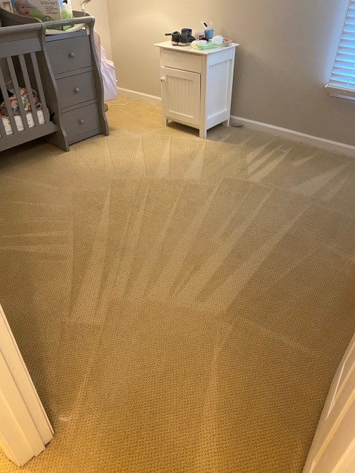 Carpet steam cleaning wexler pa (3)