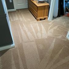 Carpet and Upholstery Cleaning Wexford PA