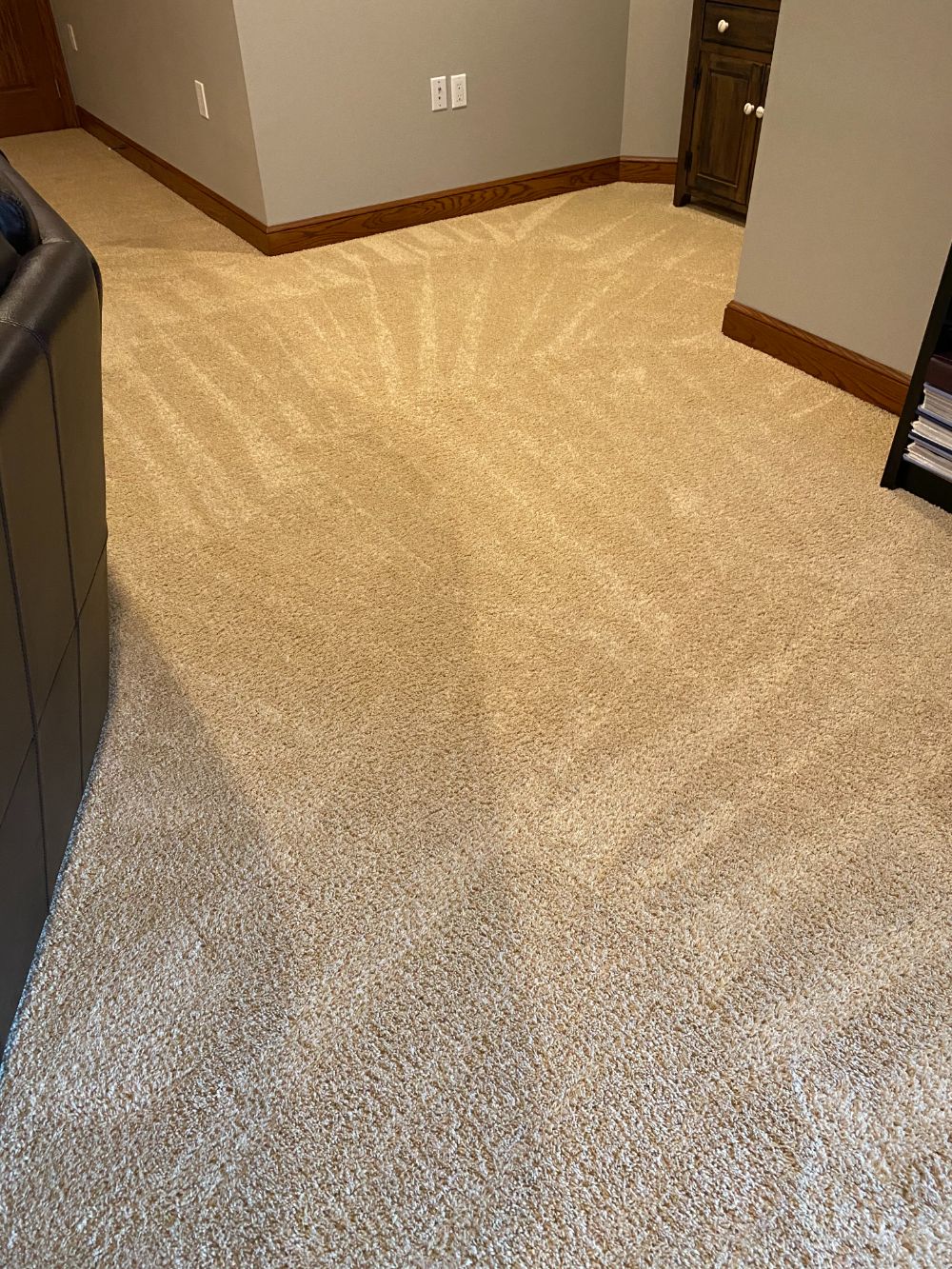 Cranberry twp pa best carpet and rug cleaning
