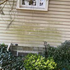 shaler-township-house-soft-washing-exterior-cleaning 5