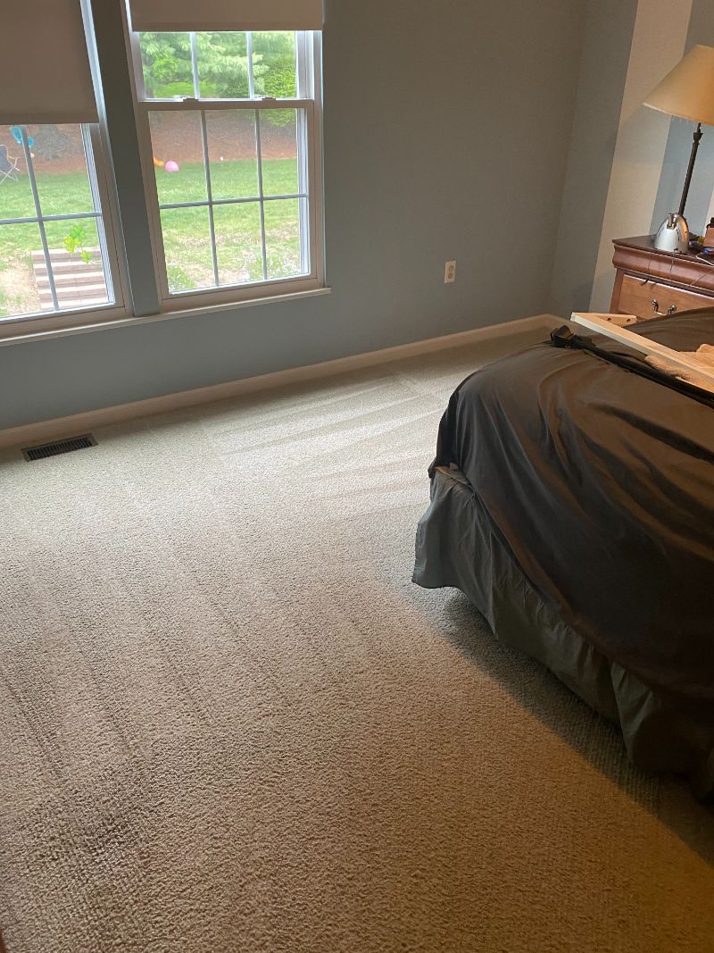 Organic carpet cleaning franklin park pa