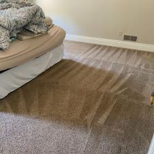 Organic Carpet Cleaning Mars | Cranberry PA 2