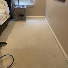 Organic Carpet Steam Cleaning McCandless, PA