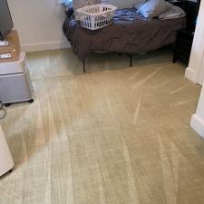 Organic Carpet Steam Cleaning Squirrel Hill in Pittsburgh, PA