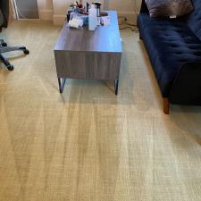 Organic Carpet Steam Cleaning Squirrel Hill in Pittsburgh, PA 1