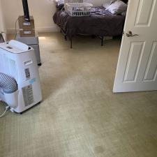 Organic Carpet Steam Cleaning Squirrel Hill in Pittsburgh, PA 3