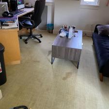Organic Carpet Steam Cleaning Squirrel Hill in Pittsburgh, PA 4