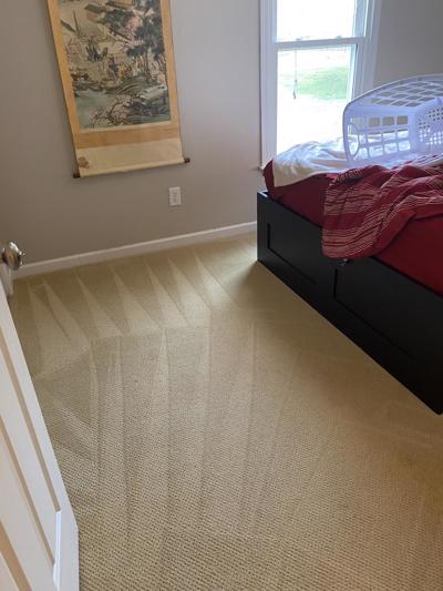 Organic carpet steam cleaning wexford franklin park pa