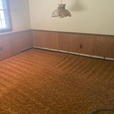 Carpet Cleaning Hampton PA 2