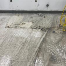 Commercial 	 VCT Tile Floor Stripping & Waxing Washington PA 5
