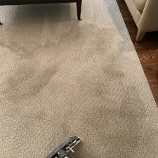 Carpet Cleaning in Franklin Park, PA