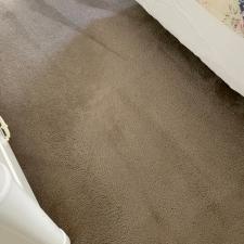 carpet cleaning lincoln ave edgewood pa 2
