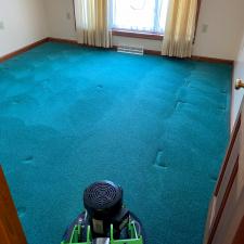 Organic Carpet Cleaning in Moon, PA