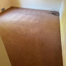Carpet Cleaning on Squirrel Hill in Pittsburgh, PA