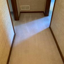 Carpet Cleaning on Woodhill Dr. Gibsonia PA 2