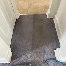 Organic Carpet Cleaning on McFarland Road in Mt. Lebanon, PA