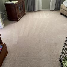 Organic Carpet Cleaning in Plum PA
