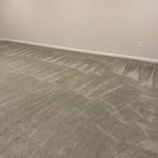 Organic Carpet Cleaning Canonsburg PA
