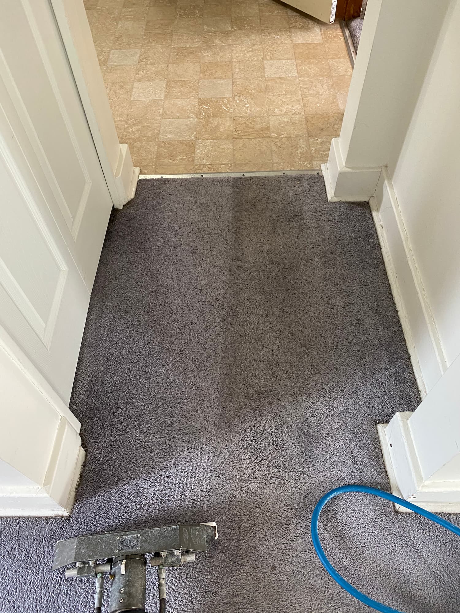 Organic carpet cleaning mcfarland rd lebanon pa