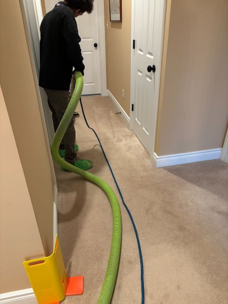 How to remove deep pet odors from carpets professional pet stain cleaning in pittsburgh pa