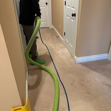 How To Remove Deep Pet Odors From Carpets: Professional Pet Stain Cleaning In Pittsburgh PA