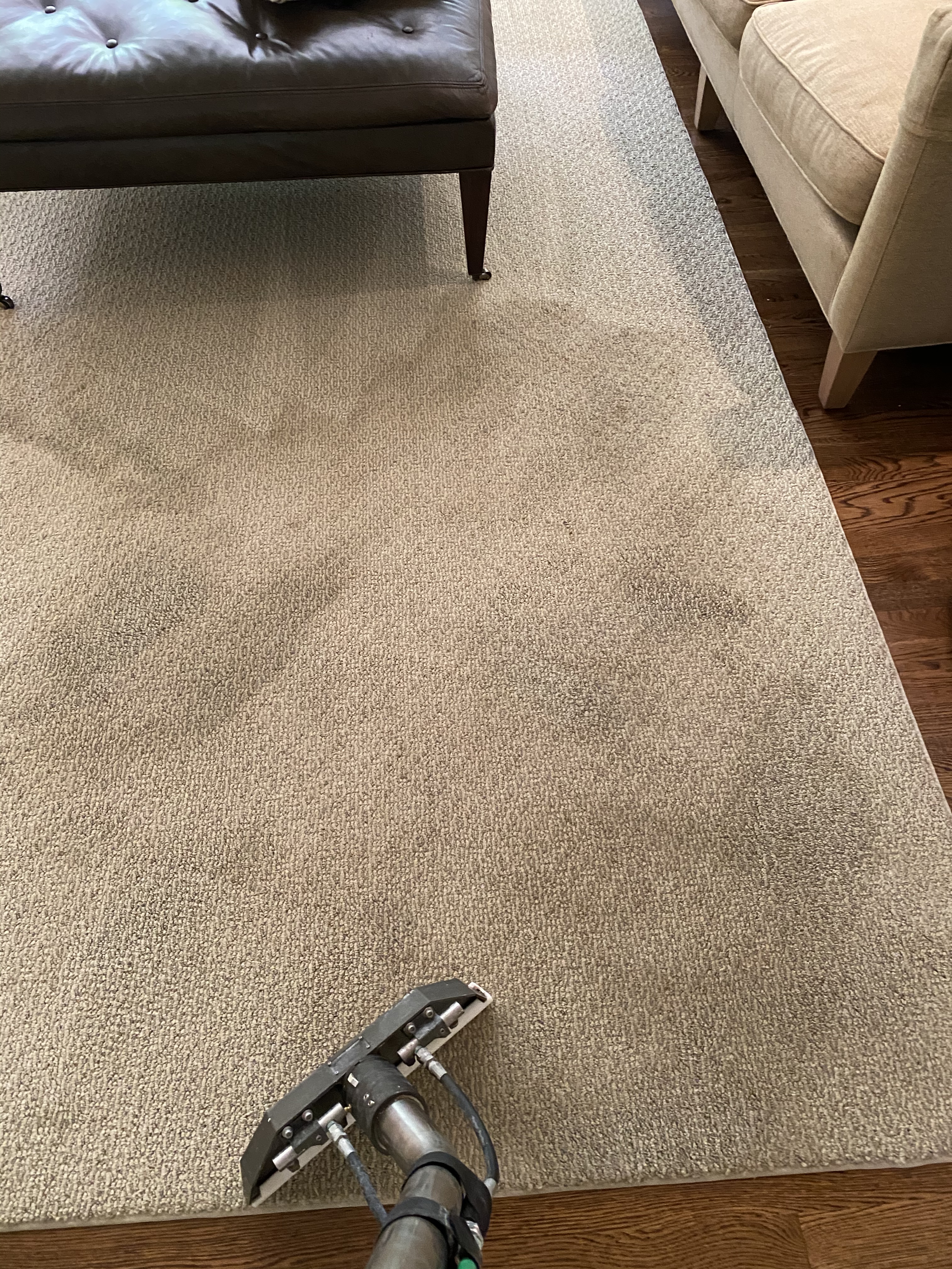 Carpet cleaning franklin park pa