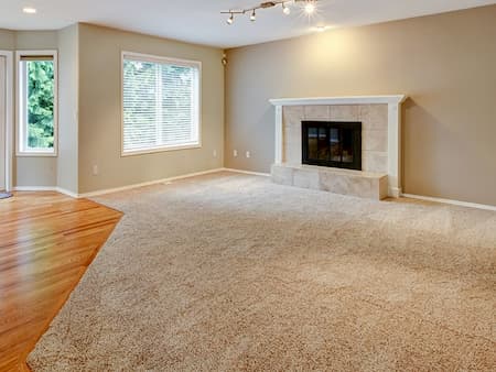 Bethel park pa carpet cleaning