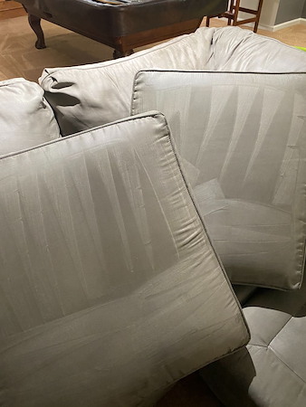 Carpet upholstery cleaning wexford pa