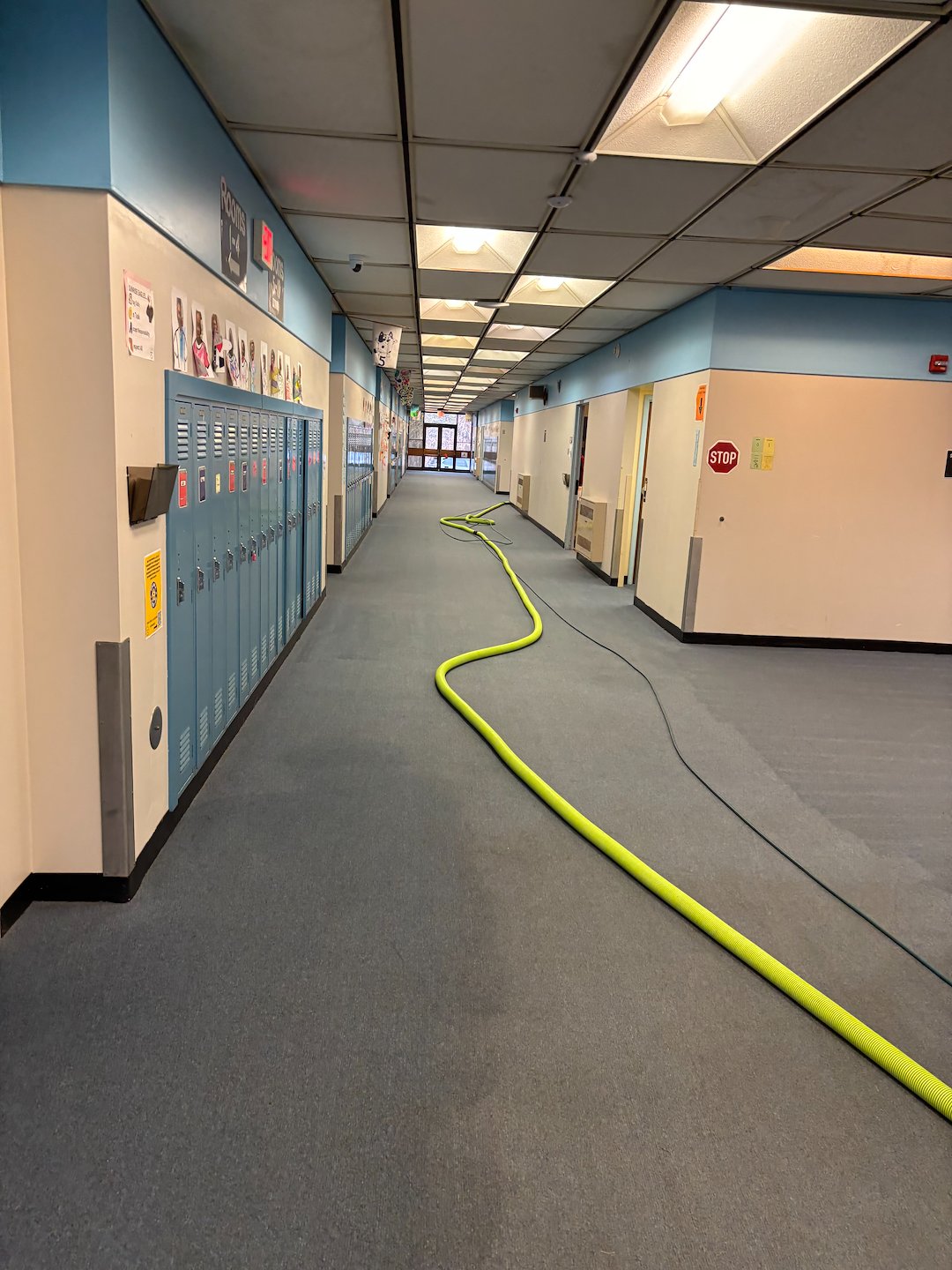 Commercial Carpet Cleaning in Pittsburgh & Monroeville, PA: Keep Your School Clean, Healthy, and Long-Lasting