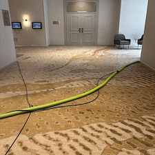 Commercial-Carpet-Cleaning-Services-for-Schools-Churches-Hotels-Professional-Deep-Cleaning-That-Protects-Your-Floors 6