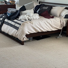 Organic-Carpet-and-Rug-Cleaning-in-Highland-Park-Pittsburgh-PA-Also-Serving-Shadyside-Squirrel-Hill 2