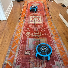 Organic-Carpet-and-Rug-Cleaning-in-Highland-Park-Pittsburgh-PA-Also-Serving-Shadyside-Squirrel-Hill 0